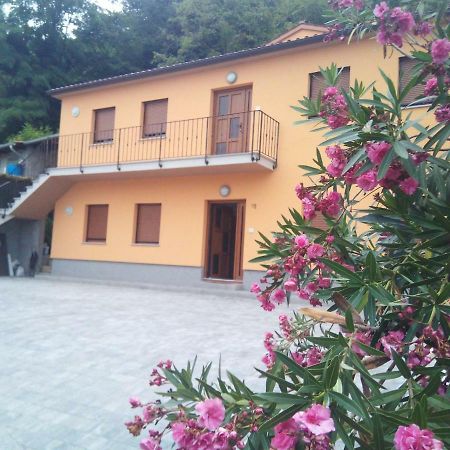 Apartmaji Matazin Črni Kal Екстериор снимка
