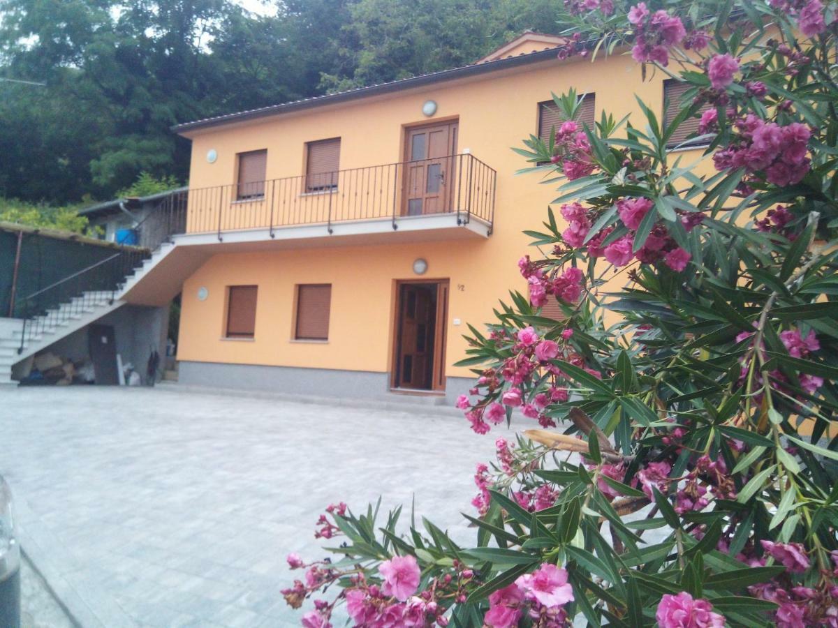 Apartmaji Matazin Črni Kal Екстериор снимка